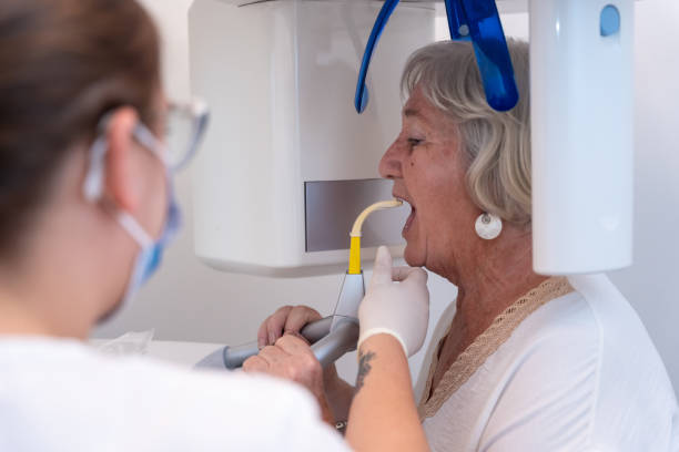 Best Broken or Chipped Tooth Repair in Roanoke, IL